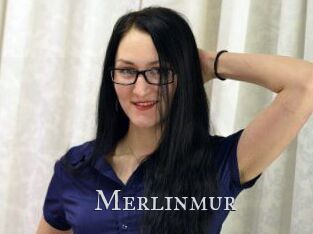 Merlinmur