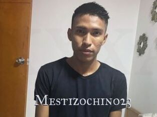 Mestizochino23