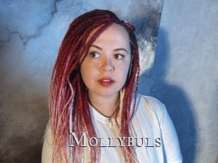 Mollybuls