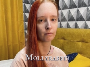 Mollyrabbit