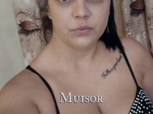 Muisor