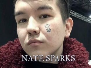 NATE_SPARKS