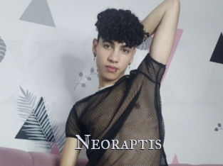 Neoraptis