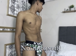 Noahhorny18