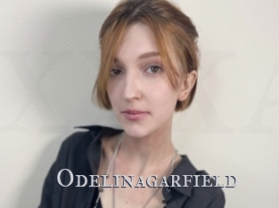 Odelinagarfield