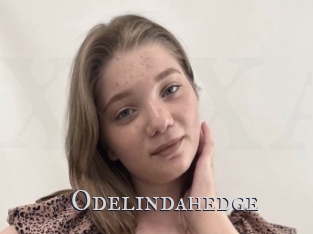 Odelindahedge