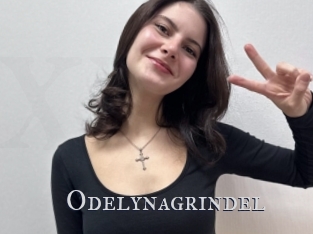 Odelynagrindel