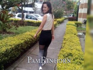 PamEinhorn