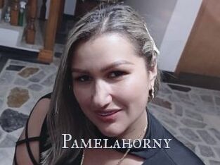 Pamelahorny