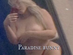 Paradise_bunny