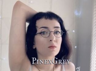 PinexGrey