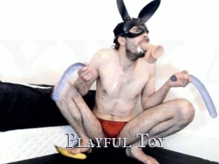 Playful_Toy