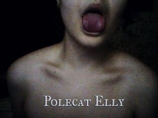 Polecat_Elly