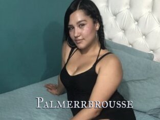 Palmerrbrousse