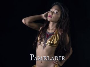 Pameladir