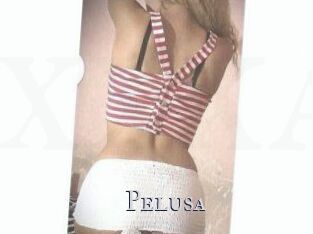 Pelusa