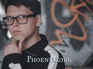 Phoenixzorg