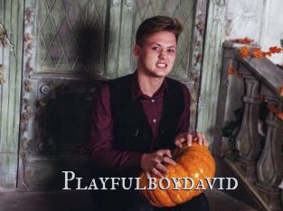 Playfulboydavid