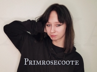 Primrosecoote