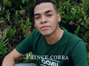 Prince_cobra