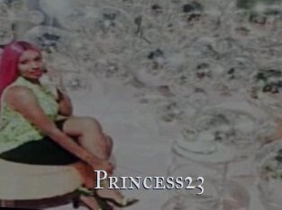 Princess23