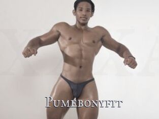 Pumebonyfit