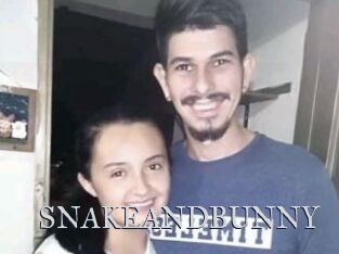 SNAKEANDBUNNY