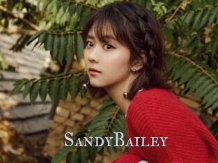 SandyBailey