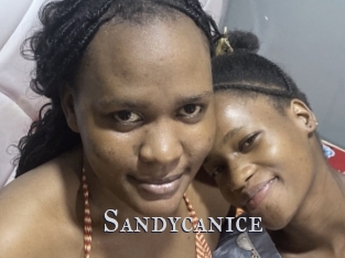 Sandycanice