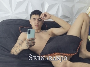 Sebnaranjo