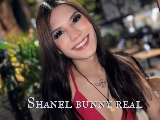 Shanel_bunny_real