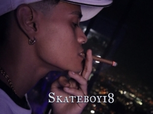 Skateboy18