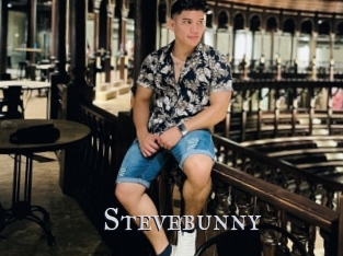 Stevebunny