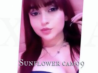 Sunflower_cam99