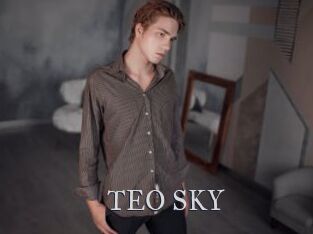 TEO_SKY