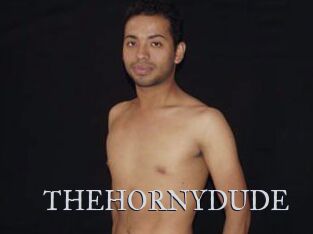 THEHORNYDUDE