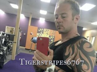 Tigerstripes6767