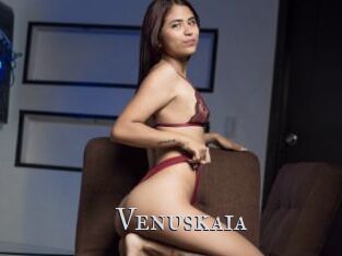 Venuskaia