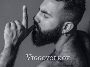 Viggovolkov