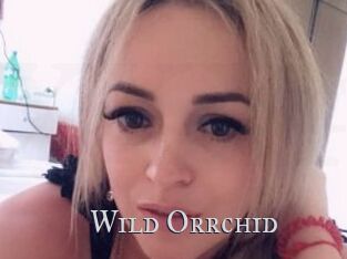 Wild_Orrchid