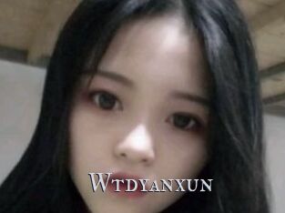 Wtdyanxun