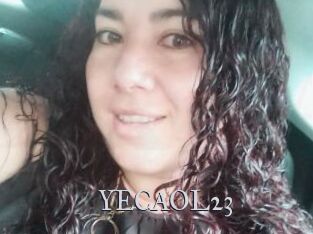 YECAOL23