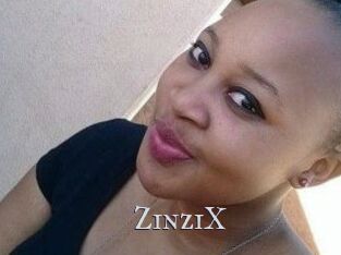 ZinziX