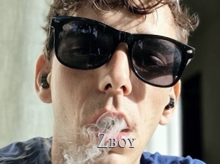 Zboy